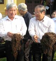 Biến rơm rạ thành phân hữu cơ