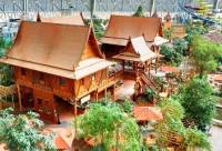 Khu rừng nhiệt đới lớn nhất thế giới nằm... trong nhà
