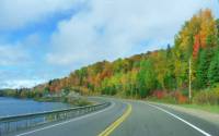Thu trong rừng Canada