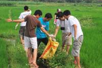 Những người trẻ dùng ngày lễ để làm từ thiện