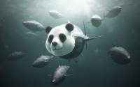 Poster bảo vệ động vật gây ấn tượng mạnh của WWF
