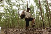 Loài cây chống biến đổi khí hậu, thêm thu nhập