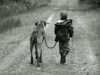 MỘT CÂU NÓI DỊU DÀNG